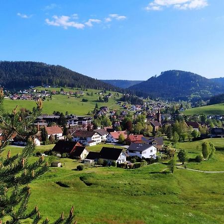 Ferienwohnung, Sauna & Gaestekarte Gratis Im Schwarzwald Baiersbronn Ngoại thất bức ảnh