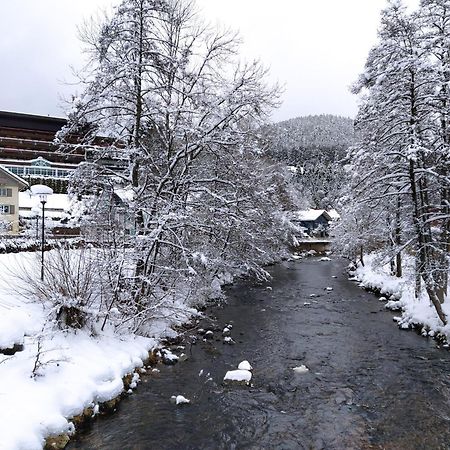 Ferienwohnung, Sauna & Gaestekarte Gratis Im Schwarzwald Baiersbronn Ngoại thất bức ảnh