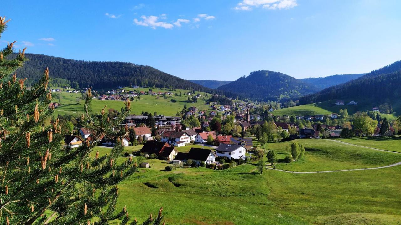 Ferienwohnung, Sauna & Gaestekarte Gratis Im Schwarzwald Baiersbronn Ngoại thất bức ảnh