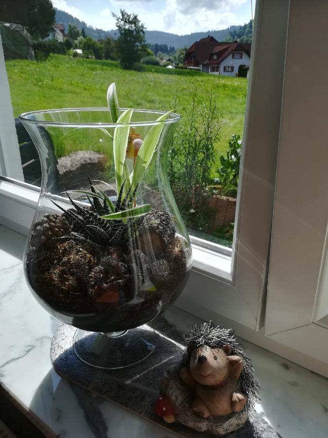 Ferienwohnung, Sauna & Gaestekarte Gratis Im Schwarzwald Baiersbronn Ngoại thất bức ảnh