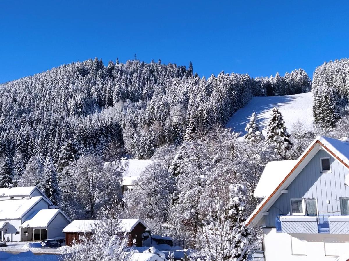 Ferienwohnung, Sauna & Gaestekarte Gratis Im Schwarzwald Baiersbronn Ngoại thất bức ảnh