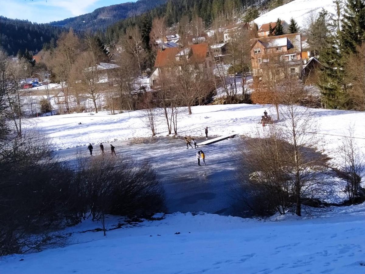 Ferienwohnung, Sauna & Gaestekarte Gratis Im Schwarzwald Baiersbronn Ngoại thất bức ảnh