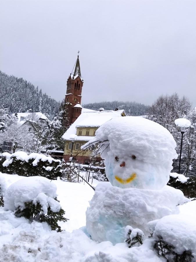 Ferienwohnung, Sauna & Gaestekarte Gratis Im Schwarzwald Baiersbronn Ngoại thất bức ảnh
